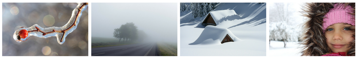 ice on tree, foggy road, snow in the field and student with large coat